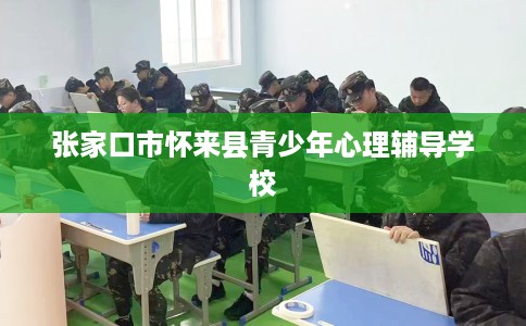 张家口市怀来县青少年心理辅导学校