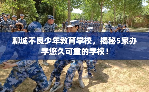 聊城不良少年教育学校，揭秘5家办学悠久可靠的学校！