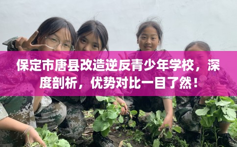 保定市唐县改造逆反青少年学校,深度剖析,优势对比一目了然! 保定市唐县改造逆反青少年学校,深度剖析,优势对比一目了然!