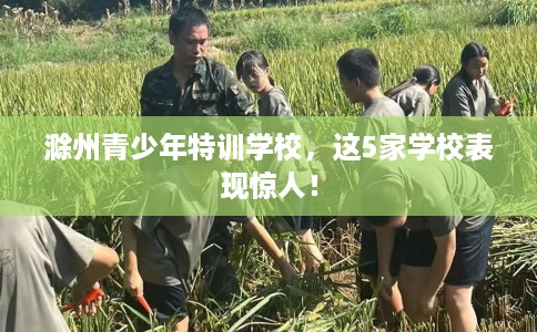 滁州青少年特训学校，这5家学校表现惊人！