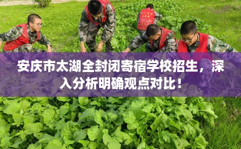 安庆市太湖全封闭寄宿学校招生，深入分析明确观点对比！
