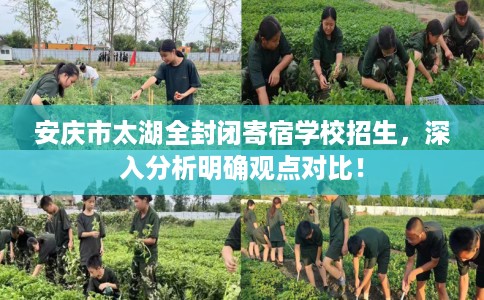 安庆市太湖全封闭寄宿学校招生，深入分析明确观点对比！