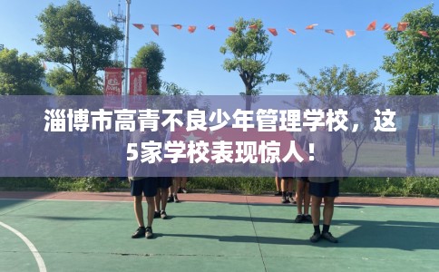 淄博市高青不良少年管理学校，这5家学校表现惊人！
