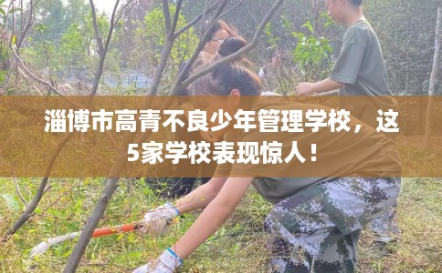 淄博市高青不良少年管理学校，这5家学校表现惊人！