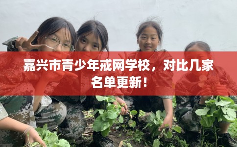 嘉兴市青少年戒网学校，对比几家名单更新！