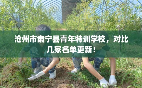 沧州市肃宁县青年特训学校，对比几家名单更新！