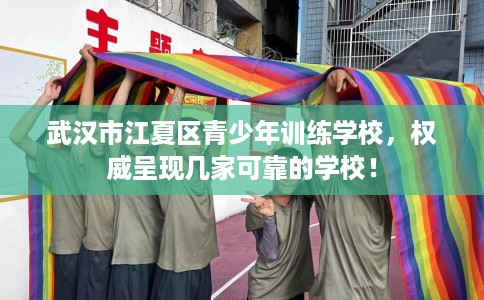 武汉市江夏区青少年训练学校，权威呈现几家可靠的学校！