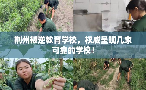 荆州叛逆教育学校，权威呈现几家可靠的学校！