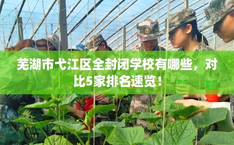 芜湖市弋江区全封闭学校有哪些，对比5家排名速览！