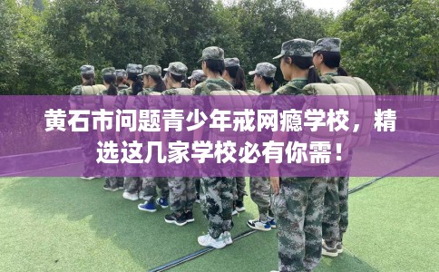 黄石市问题青少年戒网瘾学校，精选这几家学校必有你需！