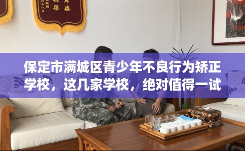 保定市满城区青少年不良行为矫正学校，这几家学校，绝对值得一试！