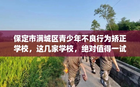 保定市满城区青少年不良行为矫正学校，这几家学校，绝对值得一试！