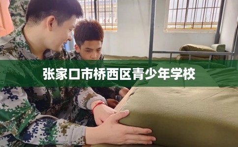 张家口市桥西区青少年学校