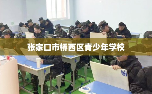 张家口市桥西区青少年学校