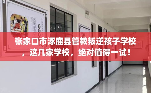 张家口市涿鹿县管教叛逆孩子学校，这几家学校，绝对值得一试！