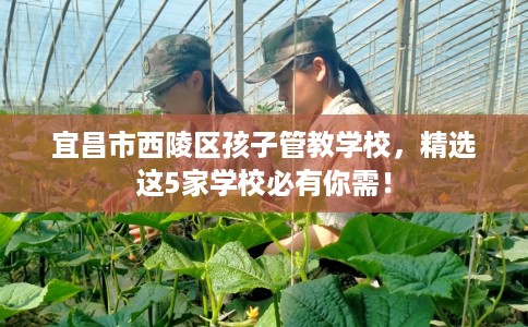 宜昌市西陵区孩子管教学校，精选这5家学校必有你需！