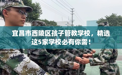 宜昌市西陵区孩子管教学校，精选这5家学校必有你需！