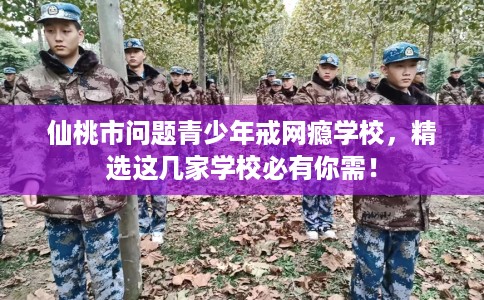 仙桃市问题青少年戒网瘾学校，精选这几家学校必有你需！