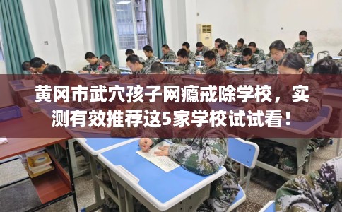 黄冈市武穴孩子网瘾戒除学校，实测有效推荐这5家学校试试看！