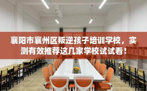 襄阳市襄州区叛逆孩子培训学校，实测有效推荐这几家学校试试看！