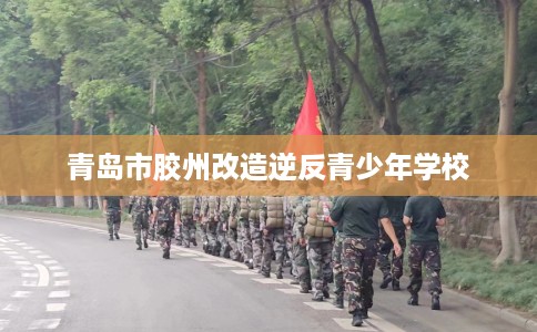 青岛市胶州改造逆反青少年学校