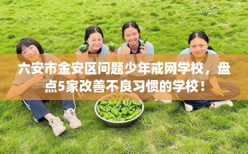 六安市金安区问题少年戒网学校，盘点5家改善不良习惯的学校！