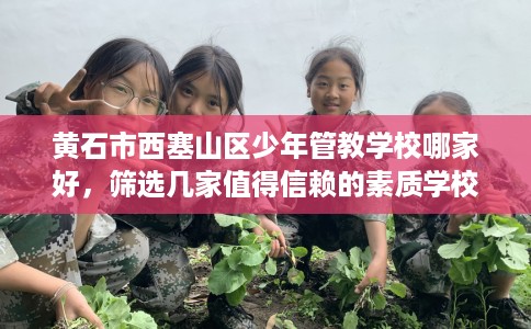 黄石市西塞山区少年管教学校哪家好，筛选几家值得信赖的素质学校！