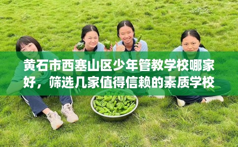 黄石市西塞山区少年管教学校哪家好，筛选几家值得信赖的素质学校！