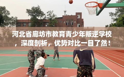 河北省廊坊市教育青少年叛逆学校，深度剖析，优势对比一目了然！
