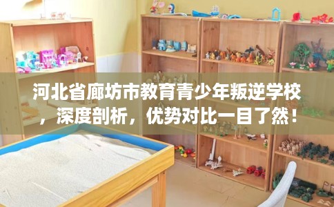 河北省廊坊市教育青少年叛逆学校，深度剖析，优势对比一目了然！