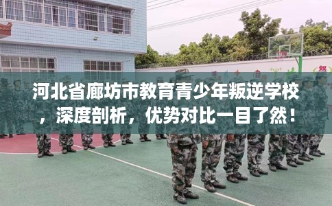 河北省廊坊市教育青少年叛逆学校，深度剖析，优势对比一目了然！