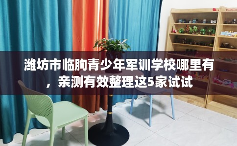 潍坊市临朐青少年军训学校哪里有，亲测有效整理这5家试试