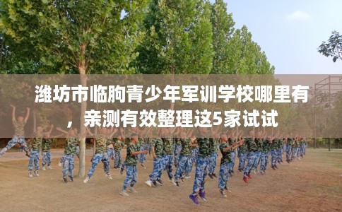 潍坊市临朐青少年军训学校哪里有，亲测有效整理这5家试试