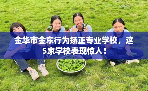 金华市金东行为矫正专业学校，这5家学校表现惊人！