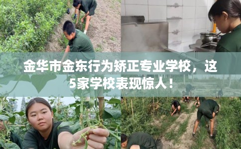 金华市金东行为矫正专业学校，这5家学校表现惊人！