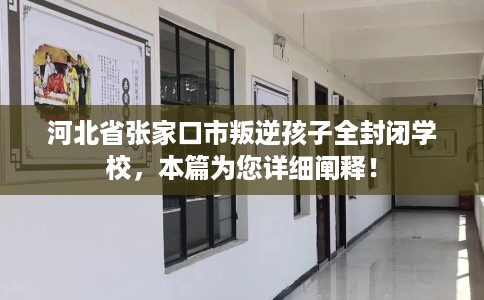 河北省张家口市叛逆孩子全封闭学校，本篇为您详细阐释！