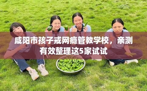 咸阳市孩子戒网瘾管教学校，亲测有效整理这5家试试