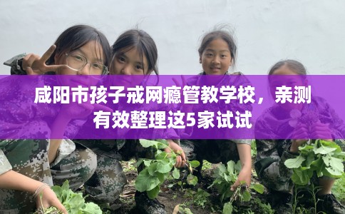 咸阳市孩子戒网瘾管教学校，亲测有效整理这5家试试