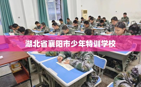 湖北省襄阳市少年特训学校