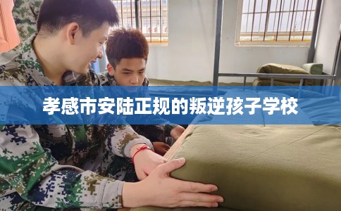 孝感市安陆正规的叛逆孩子学校