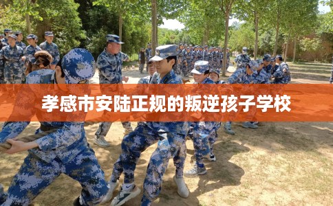 孝感市安陆正规的叛逆孩子学校