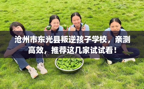 沧州市东光县叛逆孩子学校，亲测高效，推荐这几家试试看！