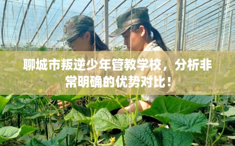 聊城市叛逆少年管教学校，分析非常明确的优势对比！
