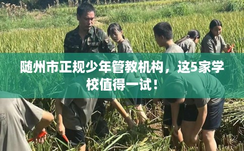 随州市正规少年管教机构，这5家学校值得一试！