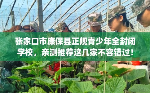 张家口市康保县正规青少年全封闭学校，亲测推荐这几家不容错过！