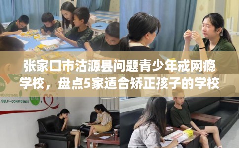 张家口市沽源县问题青少年戒网瘾学校，盘点5家适合矫正孩子的学校！