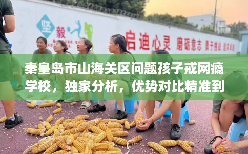 秦皇岛市山海关区问题孩子戒网瘾学校，独家分析，优势对比精准到位！