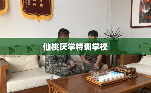 仙桃厌学特训学校
