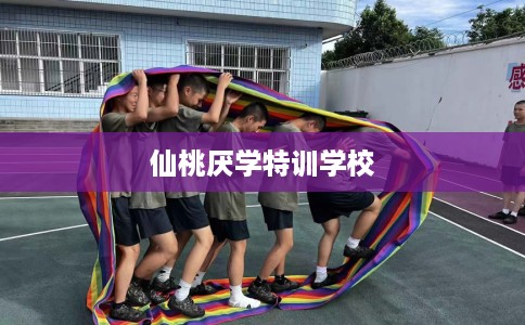 仙桃厌学特训学校