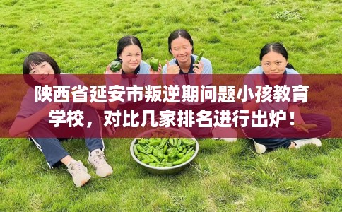 陕西省延安市叛逆期问题小孩教育学校，对比几家排名进行出炉！